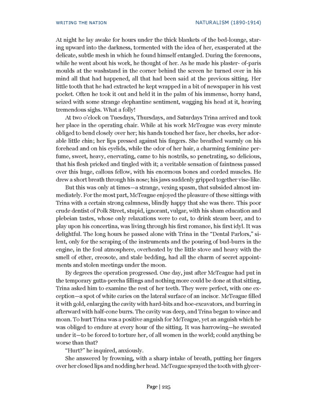 Writing the Nation - Page 225